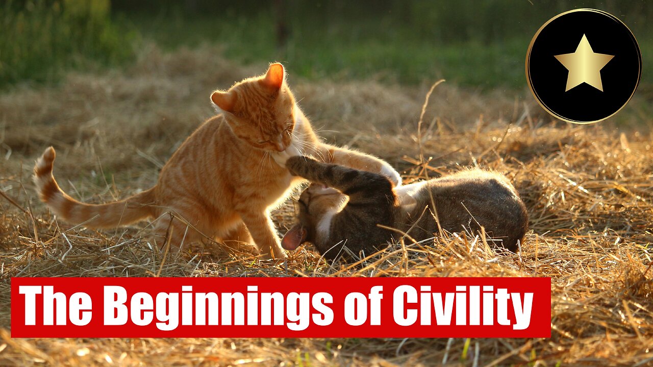 How Playing, Teaching and Cognition Led to Civilization (Civilization Theory)