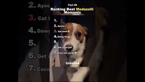 Best Medazelli#ranking #medazelli #tiktok