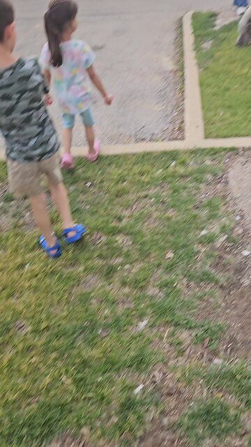 Shakespeare the Pig in Batavia