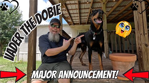 Major Announcement: Vader The Dobie Is Now On Patreon!