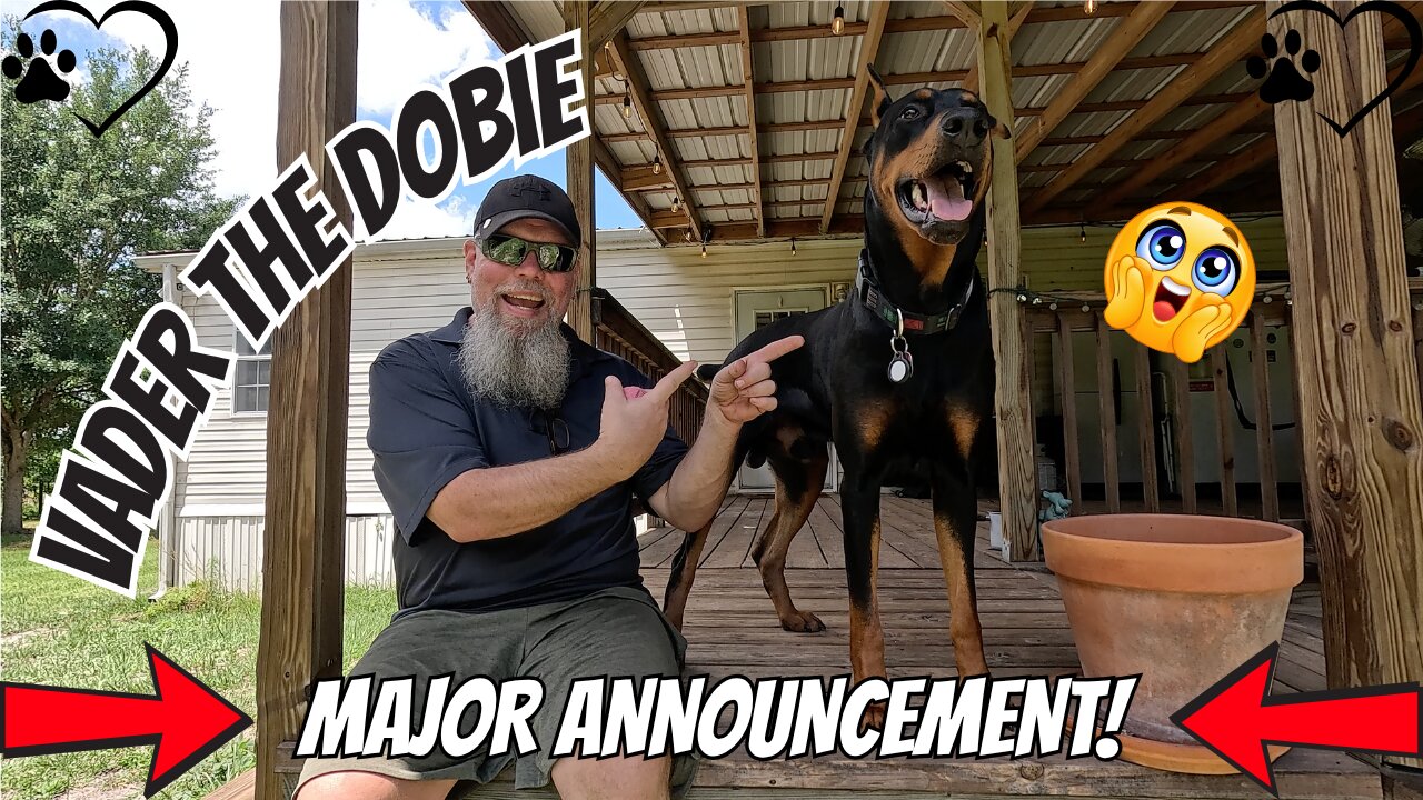 Major Announcement: Vader The Dobie Is Now On Patreon!
