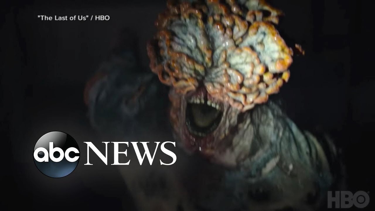 THE TERROR OF THE LORD: MUTATING FUNGUS THAT CAN 'EAT YOU FROM INSIDE OUT' (PLAGUES)