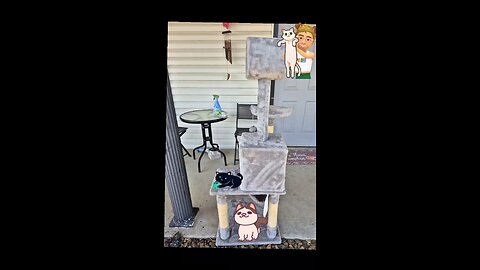 A cat tree for my cat, Sabrina