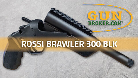Rossi Brawler .300 Blackout & 5.56 Pistols – Specs, Features & Performance | GunBroker