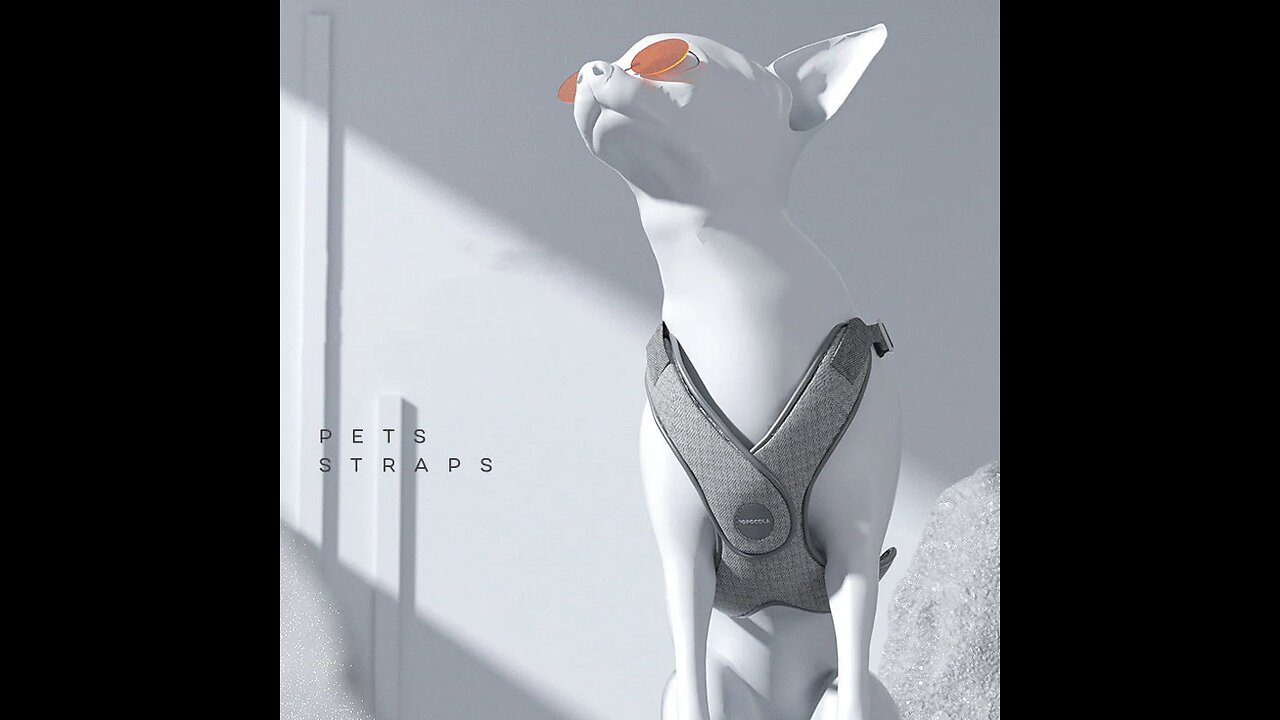 Medium and Small Vest-Style Leash