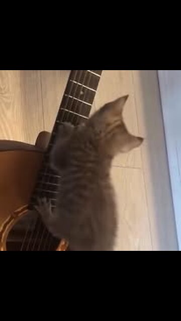 He has a musical future)...