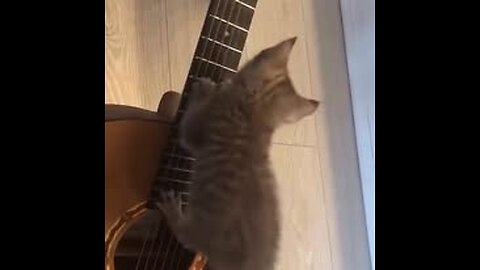 He has a musical future)...