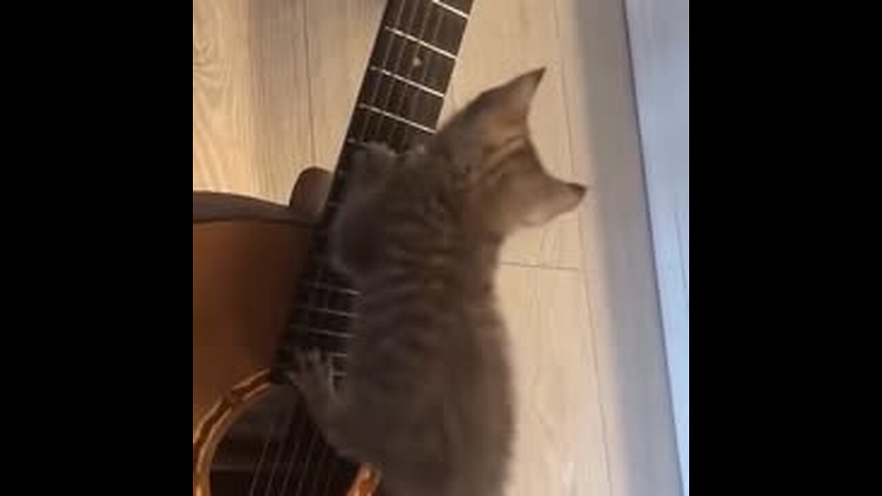 He has a musical future)...
