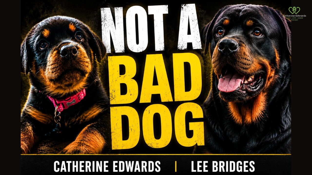NOT A BAD DOG: Why So Many Modern Dogs Are Struggling
