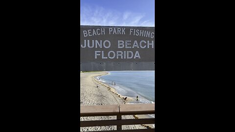 Juno Beach Park Fishing Pier & Monster Snook! | 4K