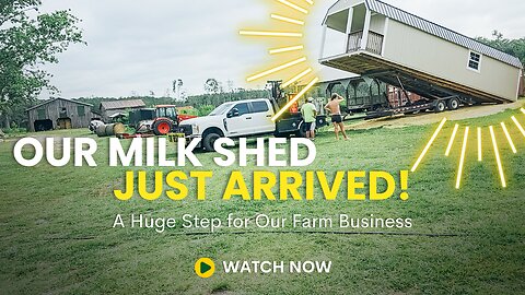 🤯They Delivered a MASSIVE 40-Foot Shed to Our Farm—Here’s What’s Inside!