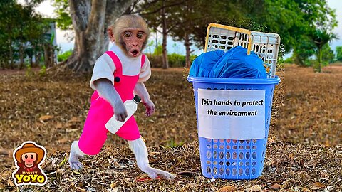 Unbelievable! monkey YiYi so sad because she doesn't have money to buy a waste basket