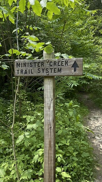 The Minister Creek Trail! #yeshua #jesus #hiking #nature #trail #trailhiking #naturehike