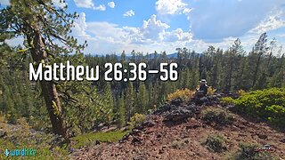 Matthew 26:36-56, Bible Reading in Nature, BSB