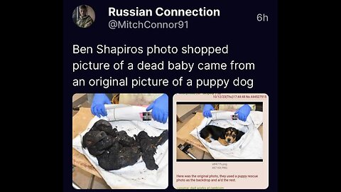 Megyn Kelly blasts ben shapiro over turning point fallout