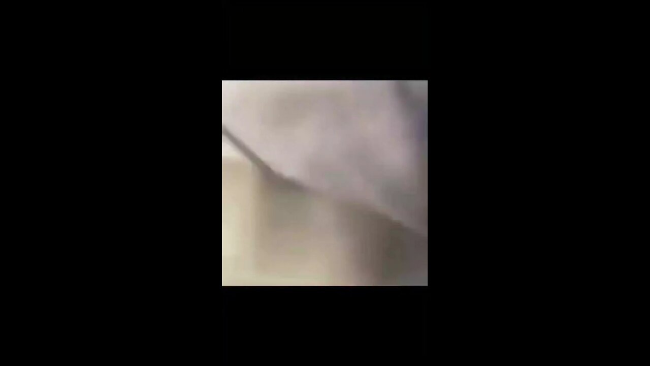 🤣🤣🤣