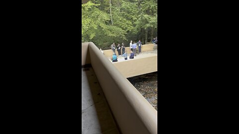 Fallingwater 4