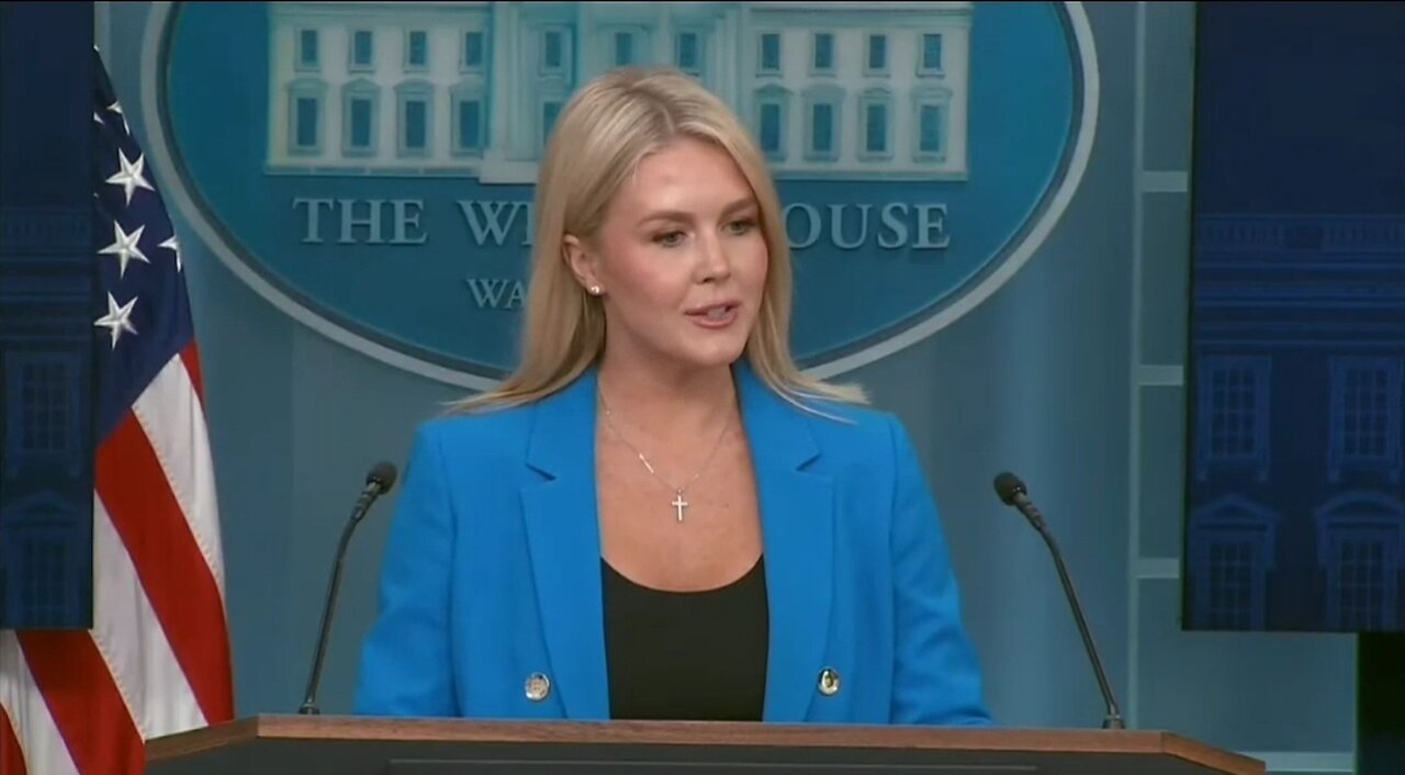 Karoline Leavitt: No Efforts Have Been Made To Cancel Musks Govt Contracts