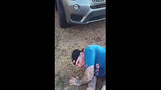 Dollyu Vision Finds a Murder Scene!