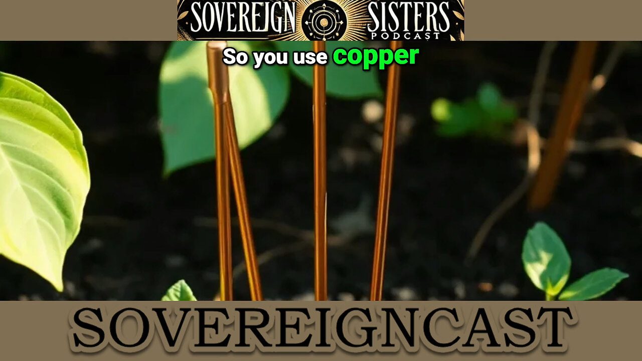 Top Soil Health Secrets - Boost Your Garden Naturally
