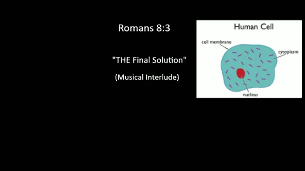 The Final Solution PART 1 by Anthony Patch
