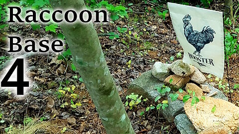 Raccoon Base 4