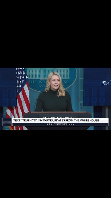 Trump Will Remove ICE From Minnesota On These 3 Conditions