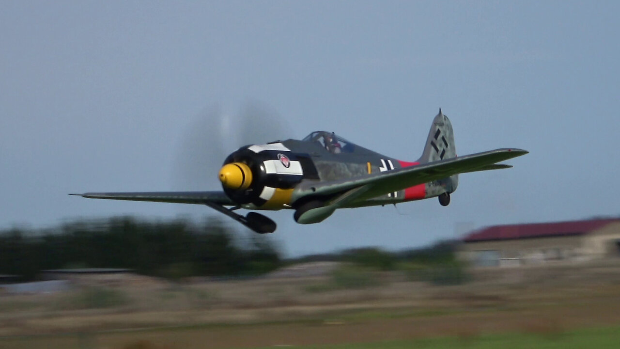Focke-Wulf Fw 190 A-8 Full Display | Engine Start, Taxi, Tailchase with Spitfire | Hangar10 Usedom