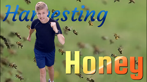 Exciting Honey Harvest
