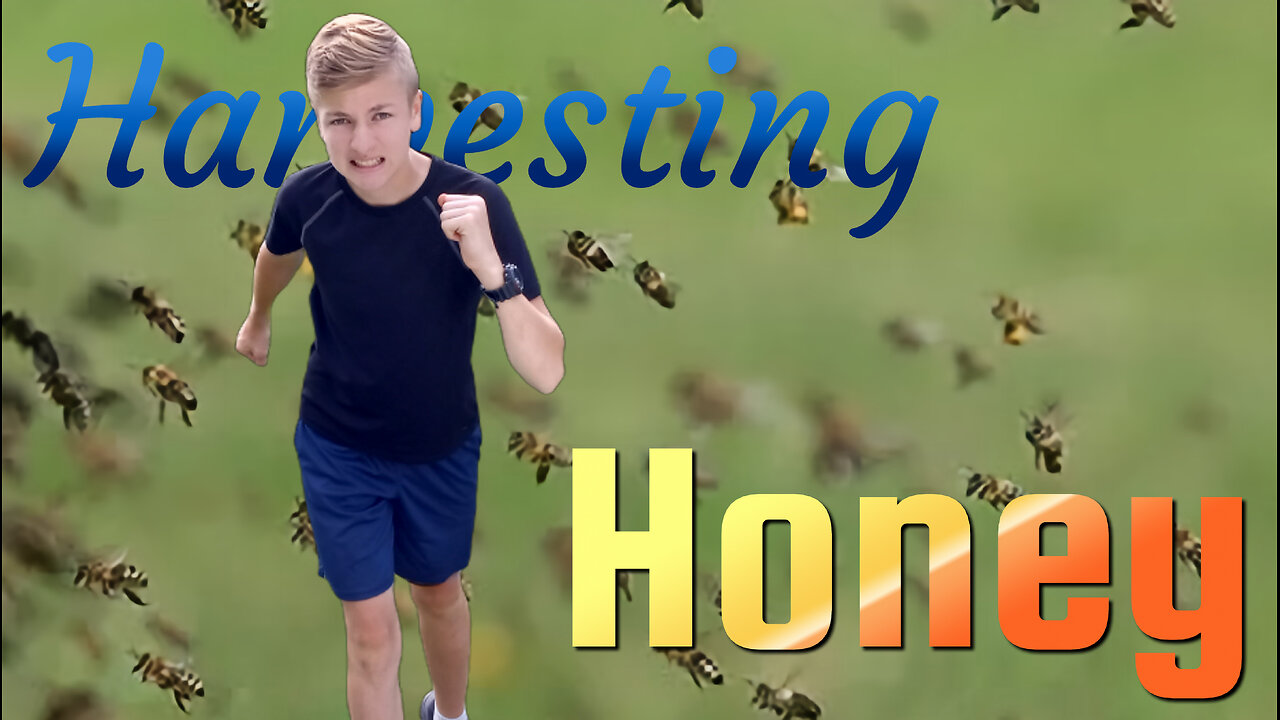 Exciting Honey Harvest - Homesteading Journey
