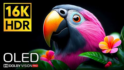 UNBELIEVABLE HDR OLED TEST 16K Video ULTRA HD Dolby Vision (4K 8K TV )