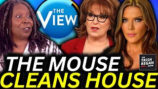 Disney Announces MASS LAYOFFS—‘The View’ Staffers PANIC as Show Faces Cancellation