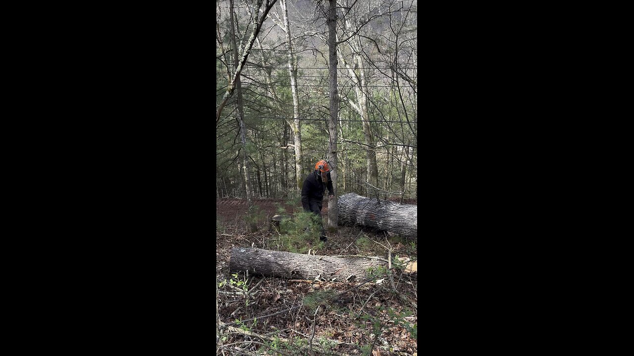 Removing choker from directional felling