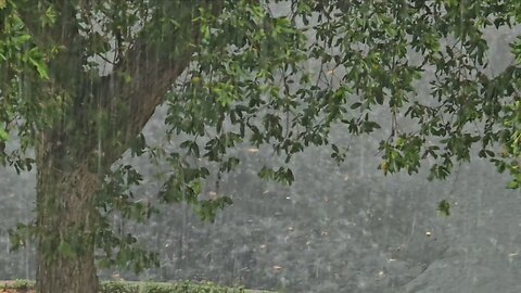 10 Minutes of Rain
