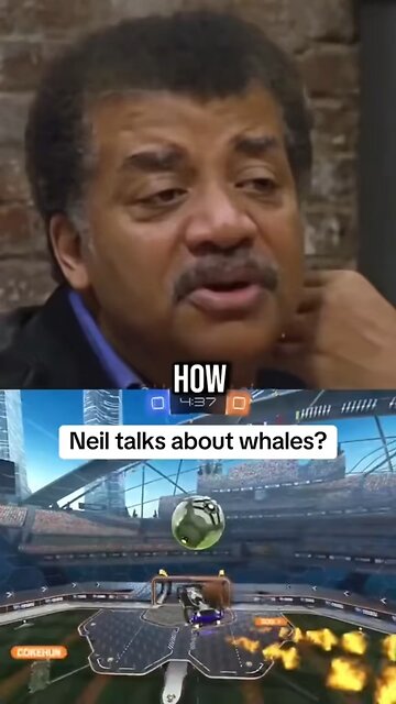 I feel like I’m getting dumber