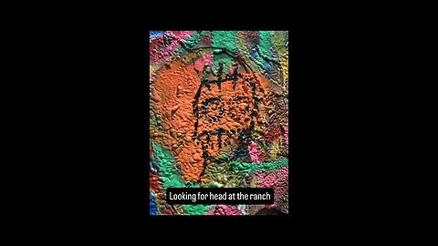 looking for head at the ranch
