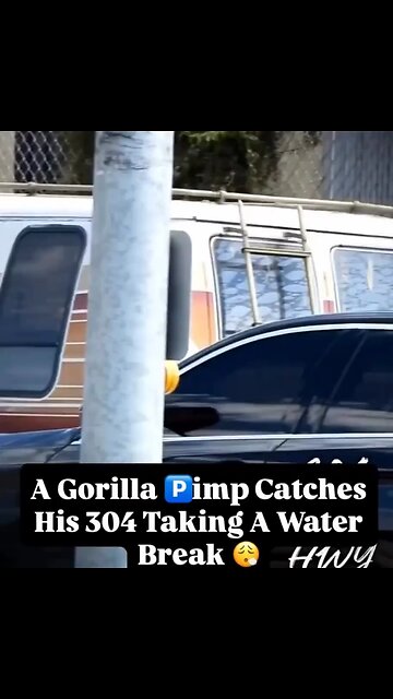 u know it's hard out here for a pimp