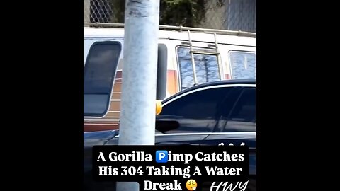 u know it's hard out here for a pimp