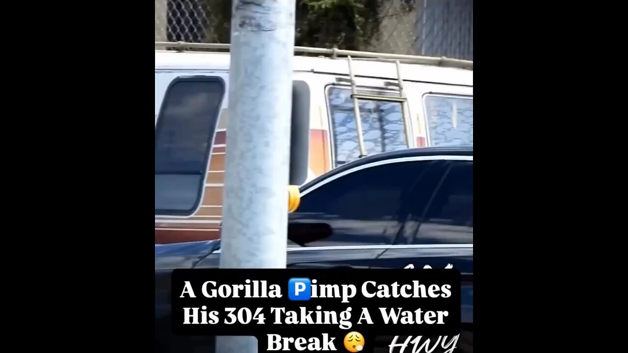 u know it's hard out here for a pimp