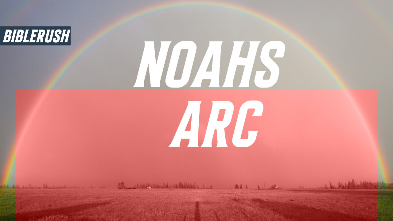 Noah's Arc