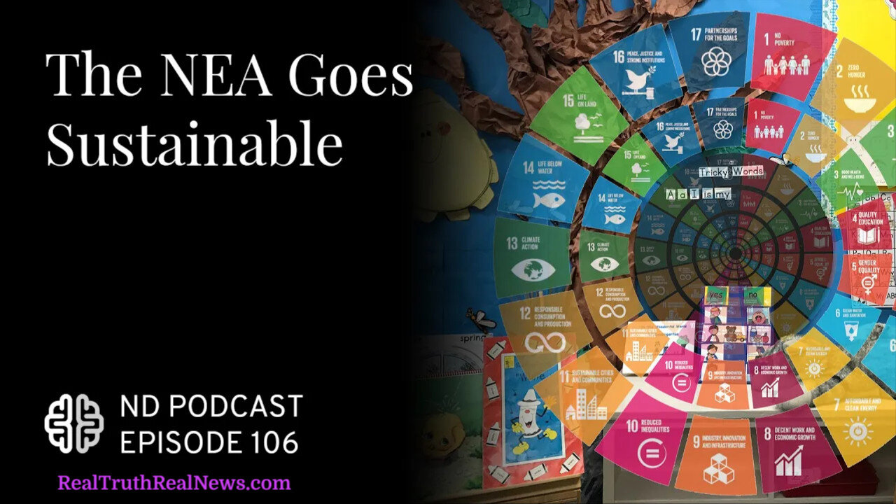 👦🏻🎓 AUDIO: The National Education Association (NEA) Planning to Follow the WEF & UN's SDG's (Sustainable Development Goals)