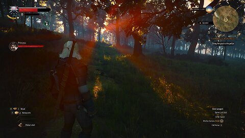 The Witcher 3, Just for Fun, pt.26