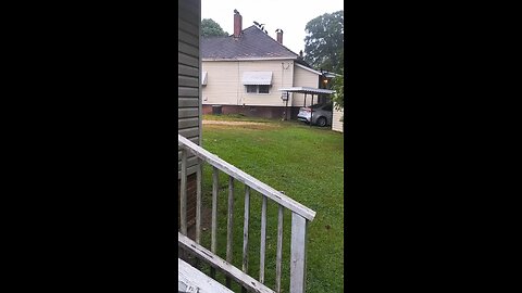 Invasion of black birds