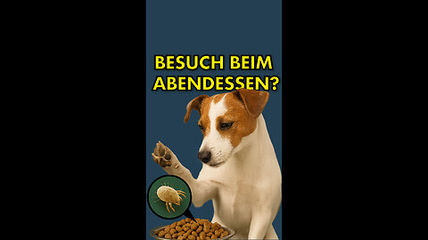 Trockenfutter einfrieren, um die Futtermilben zu töten?