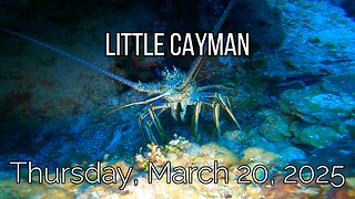 Little Cayman - Thursday March 20, 2025