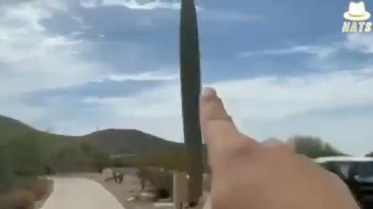 Why are 5G towers / transmitters disguised as cacti?