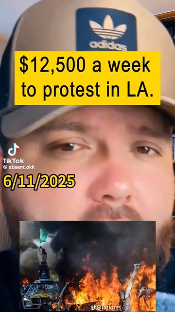Paid to protest