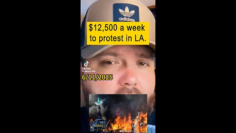 Paid to protest