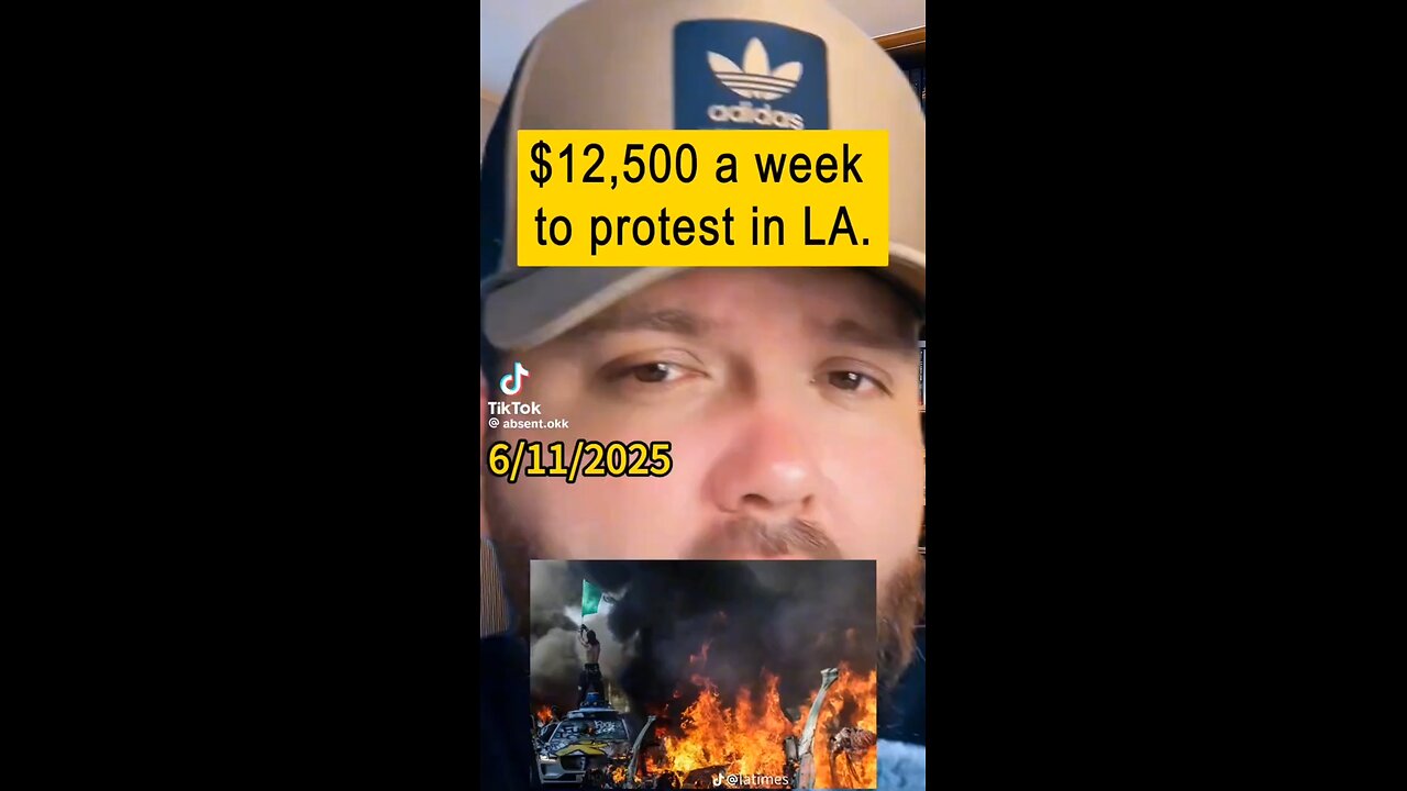 Paid to protest