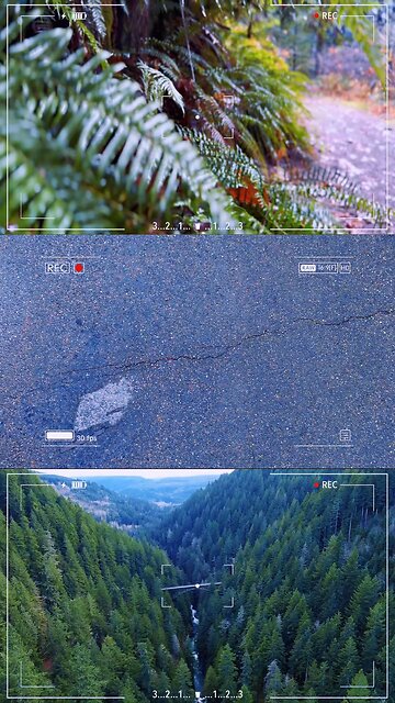 Fairfax bridge, Carbon valley WA.